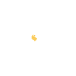 Swiss Casinos
